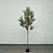olive tree fake plant